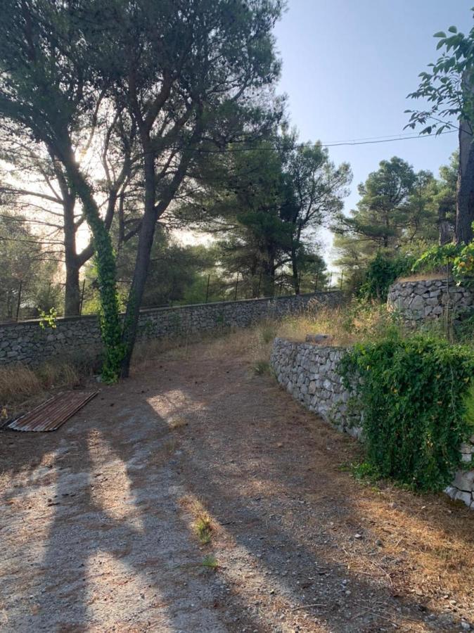 Lake View Σκόδρα Εξωτερικό φωτογραφία